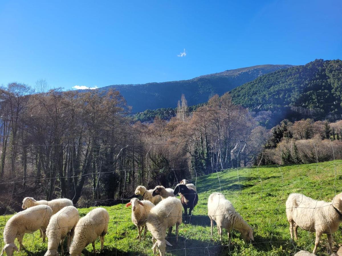 El Atico De Mijares Pensionat Exteriör bild