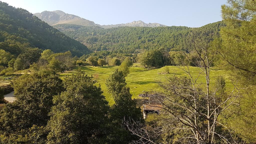 El Atico De Mijares Pensionat Exteriör bild